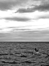 Barcola