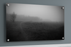 Nebbia