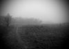 Nebbia