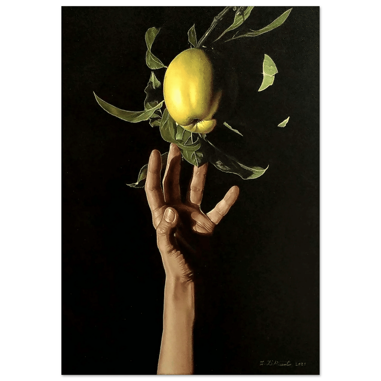 Stefano D'Acunto - Micol Art Gallery