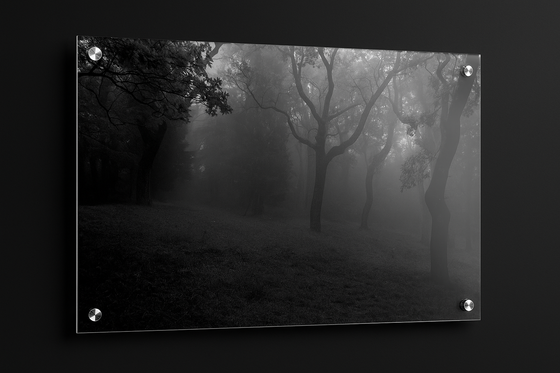La nebbia nel Carso
