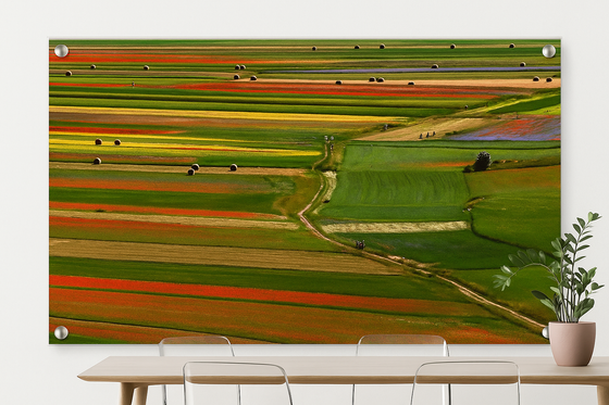 Il giardino delle fate