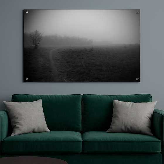 Nebbia