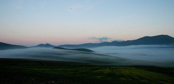 Marani (Copia)