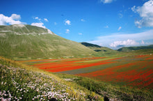  Marani (Copia)