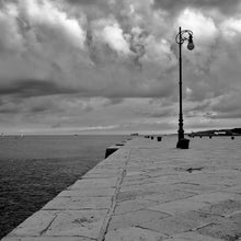  Molo audace
