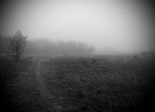  Nebbia