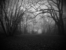  Tenebre
