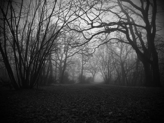Tenebre