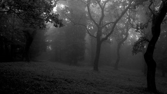 Bianco e nero