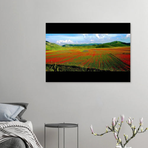 Abbracci di Terra - Micol Art Gallery