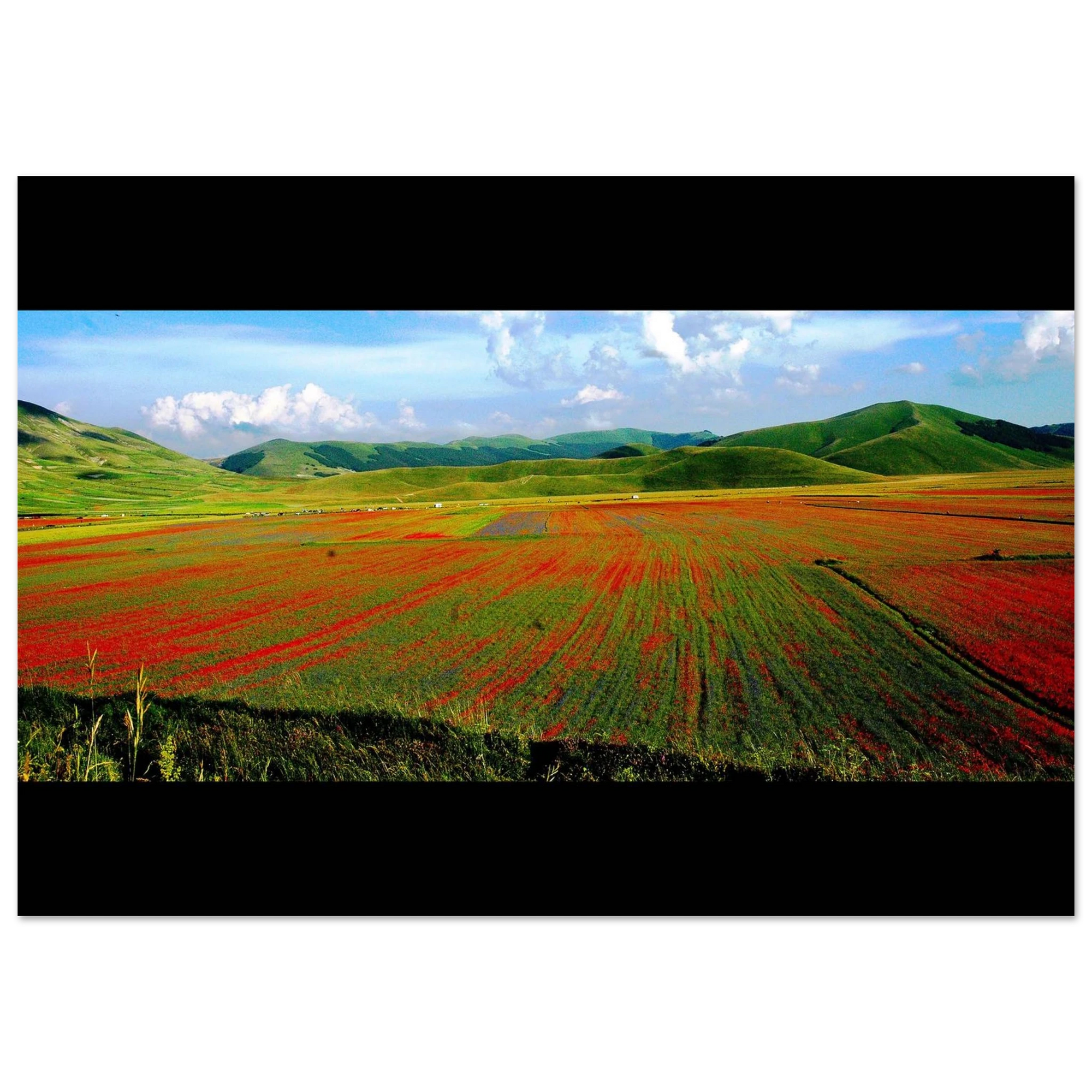 Abbracci di Terra - Micol Art Gallery