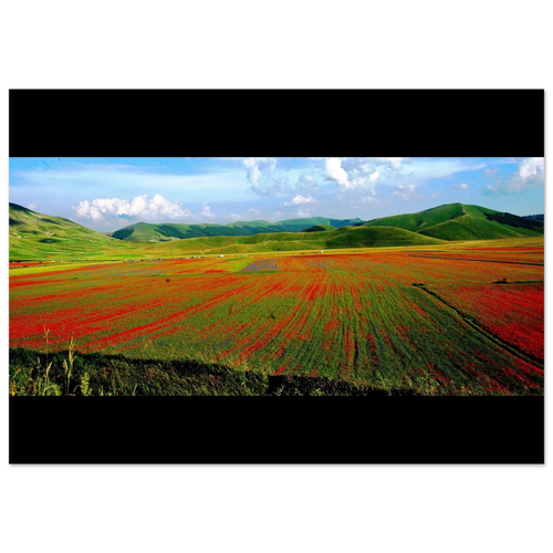 Abbracci di Terra - Micol Art Gallery