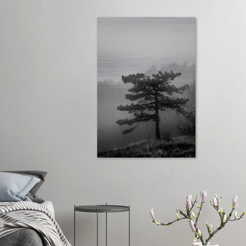 Albero - Micol Art Gallery