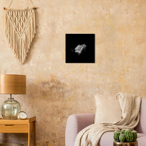 Bianco e Nero - Micol Art Gallery