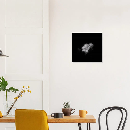 Bianco e Nero - Micol Art Gallery
