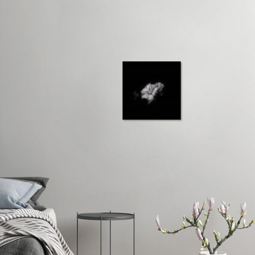 Bianco e Nero - Micol Art Gallery
