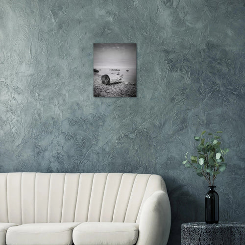 Canovella - Micol Art Gallery