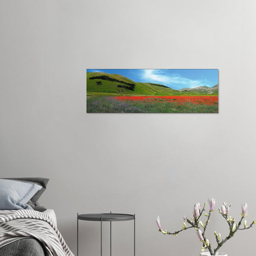Cara Italia - Micol Art Gallery