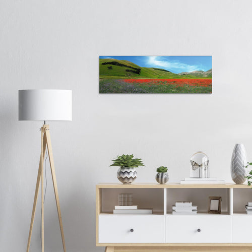 Cara Italia - Micol Art Gallery