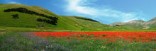  Cara Italia 2