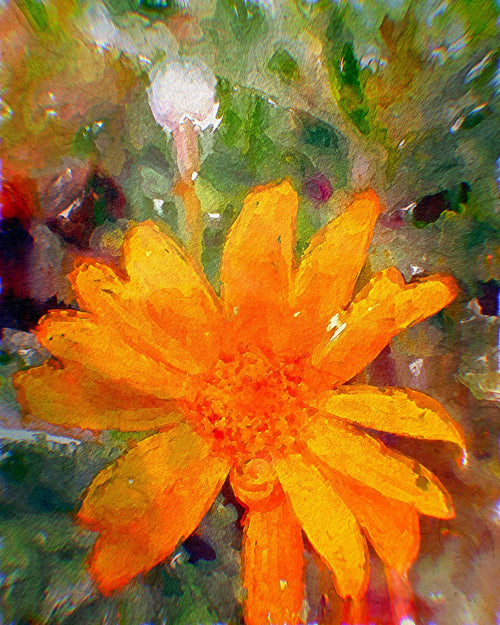 Couple Meditation - Micol Art Gallery