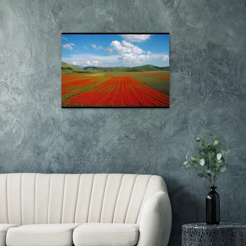 Distese di Rinascita - Micol Art Gallery