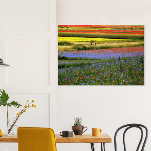 Eden - Micol Art Gallery