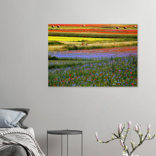 Eden - Micol Art Gallery