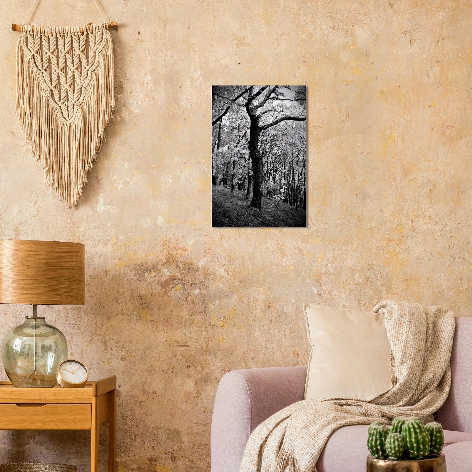 Farnus - Micol Art Gallery