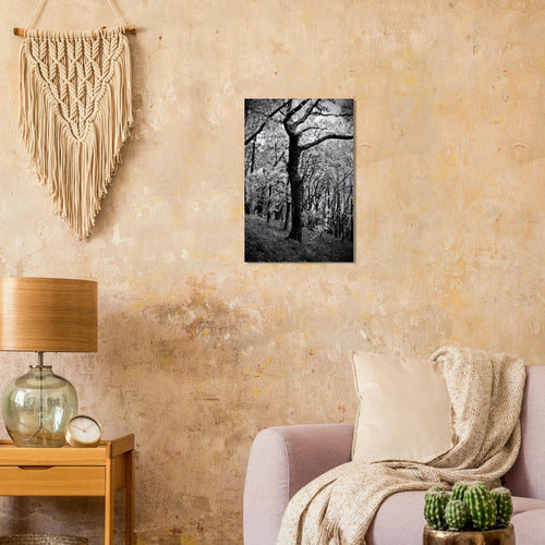 Farnus - Micol Art Gallery