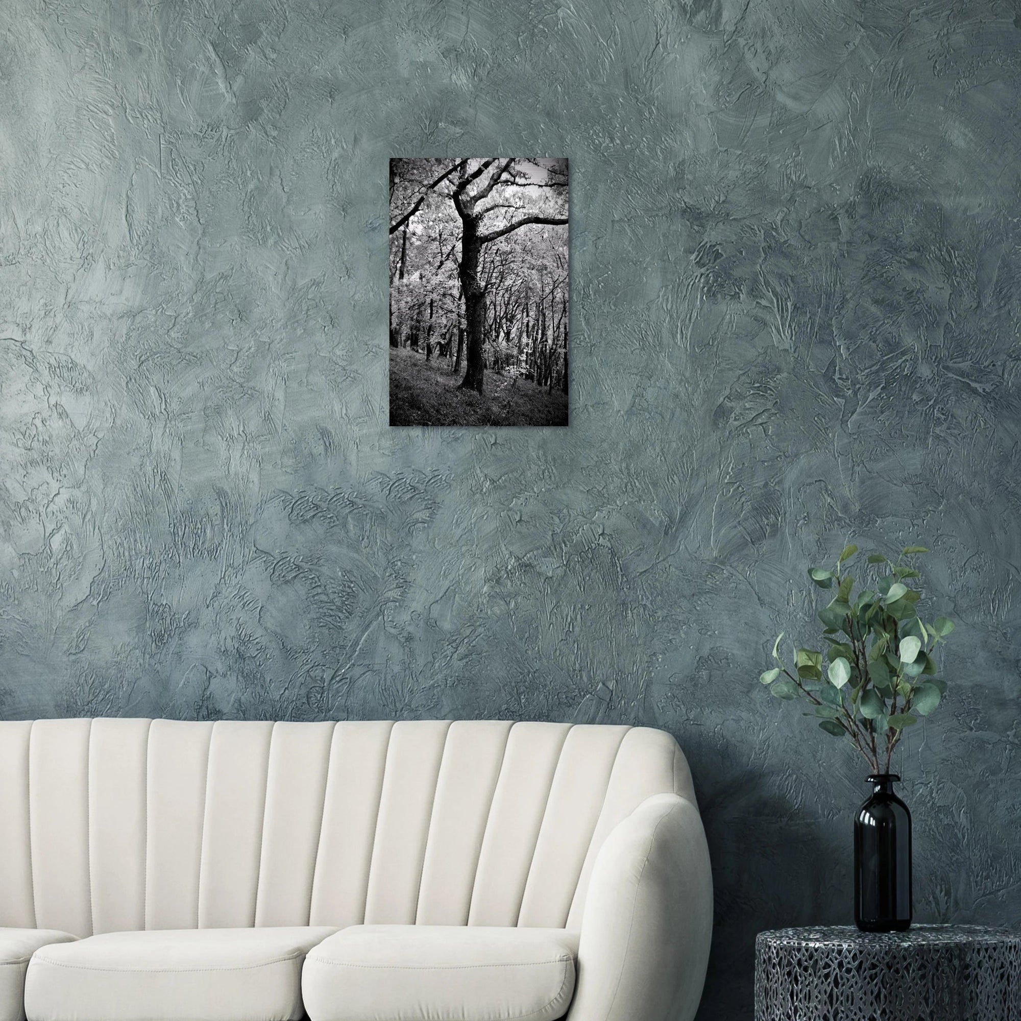 Farnus - Micol Art Gallery