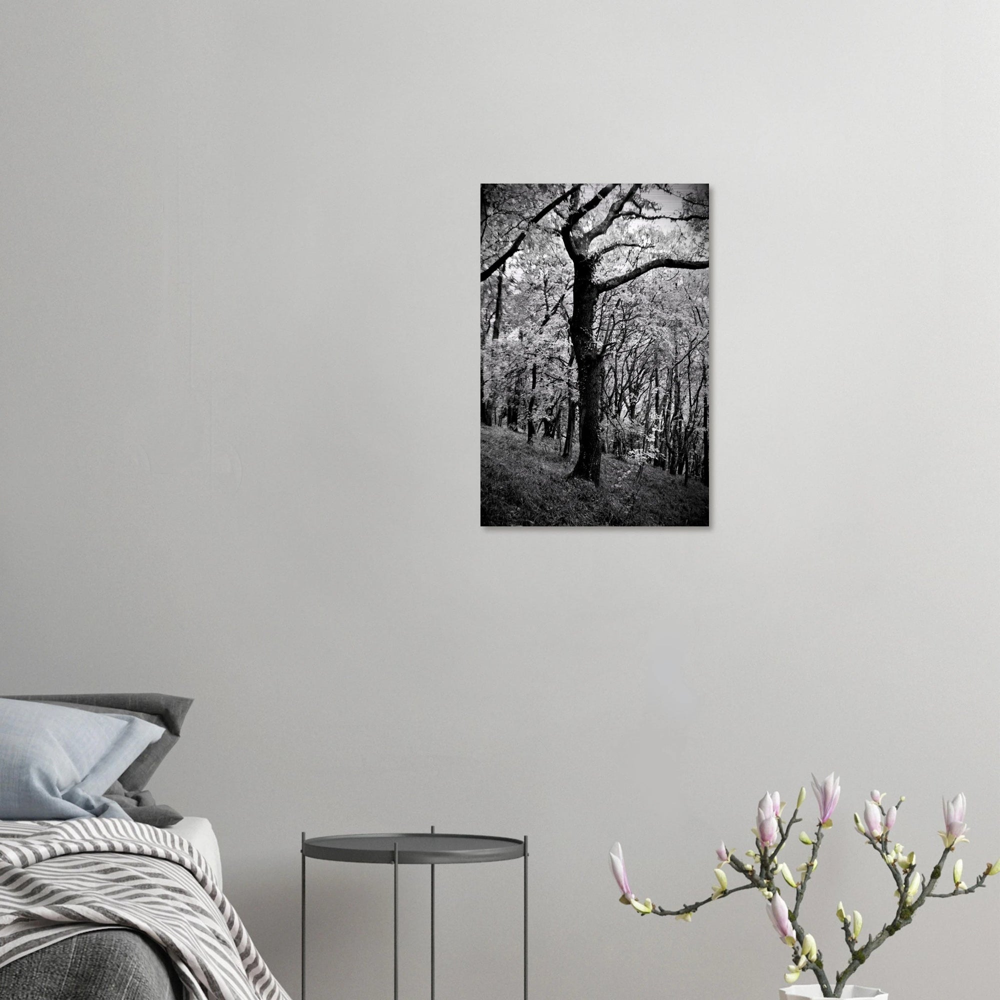 Farnus - Micol Art Gallery