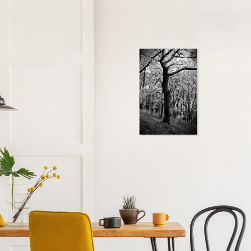 Farnus - Micol Art Gallery