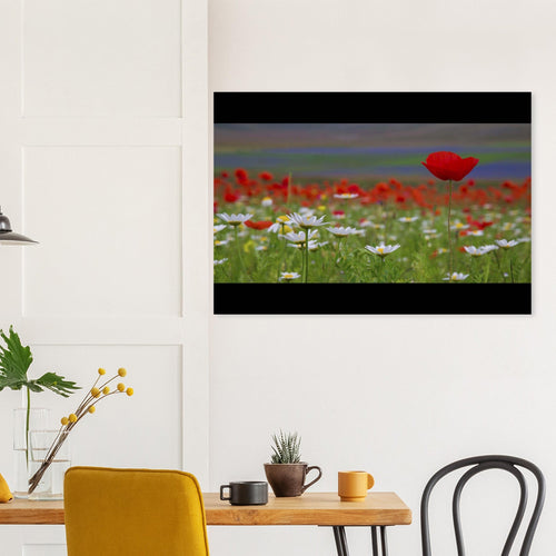 Fioritura - Micol Art Gallery