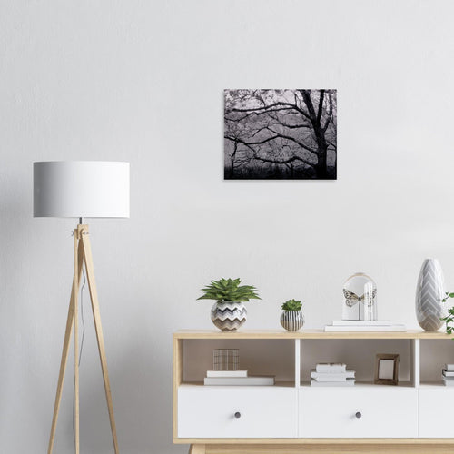 Fioritura - Micol Art Gallery