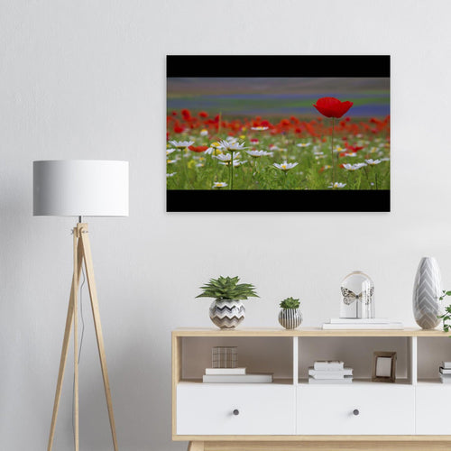 Fioritura - Micol Art Gallery
