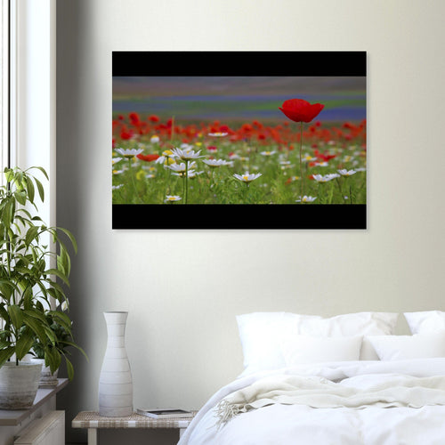 Fioritura - Micol Art Gallery