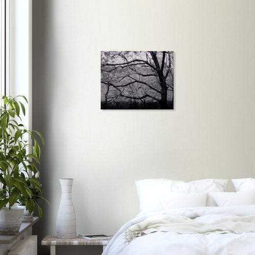 Fioritura - Micol Art Gallery