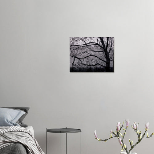 Fioritura - Micol Art Gallery