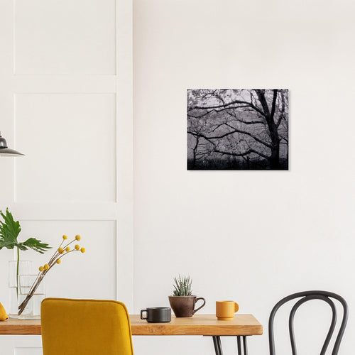Fioritura - Micol Art Gallery