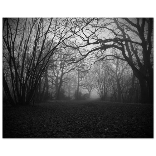 Foresta - Micol Art Gallery
