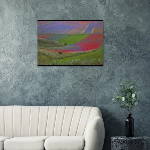 Geometrie Cromatiche - Micol Art Gallery