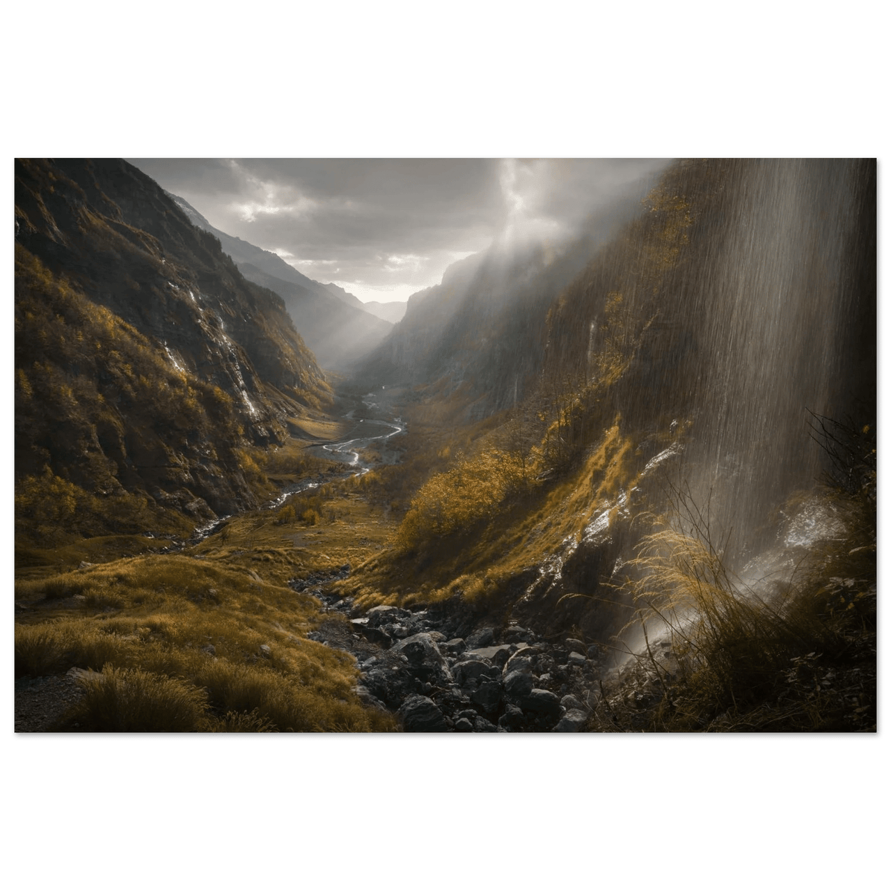 Gold of Rivendell - Micol Art Gallery