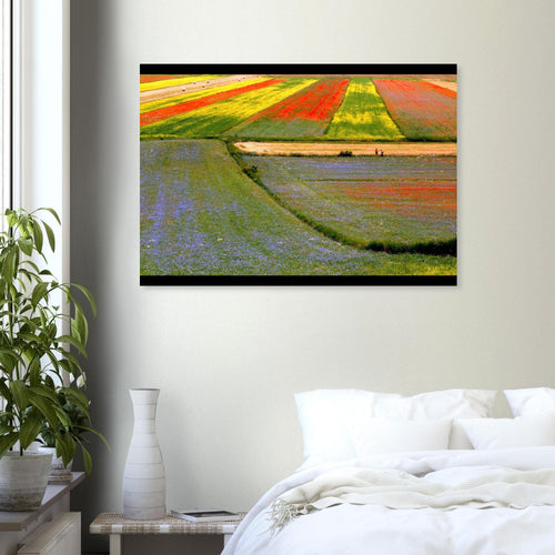 I colori delle vie - Micol Art Gallery