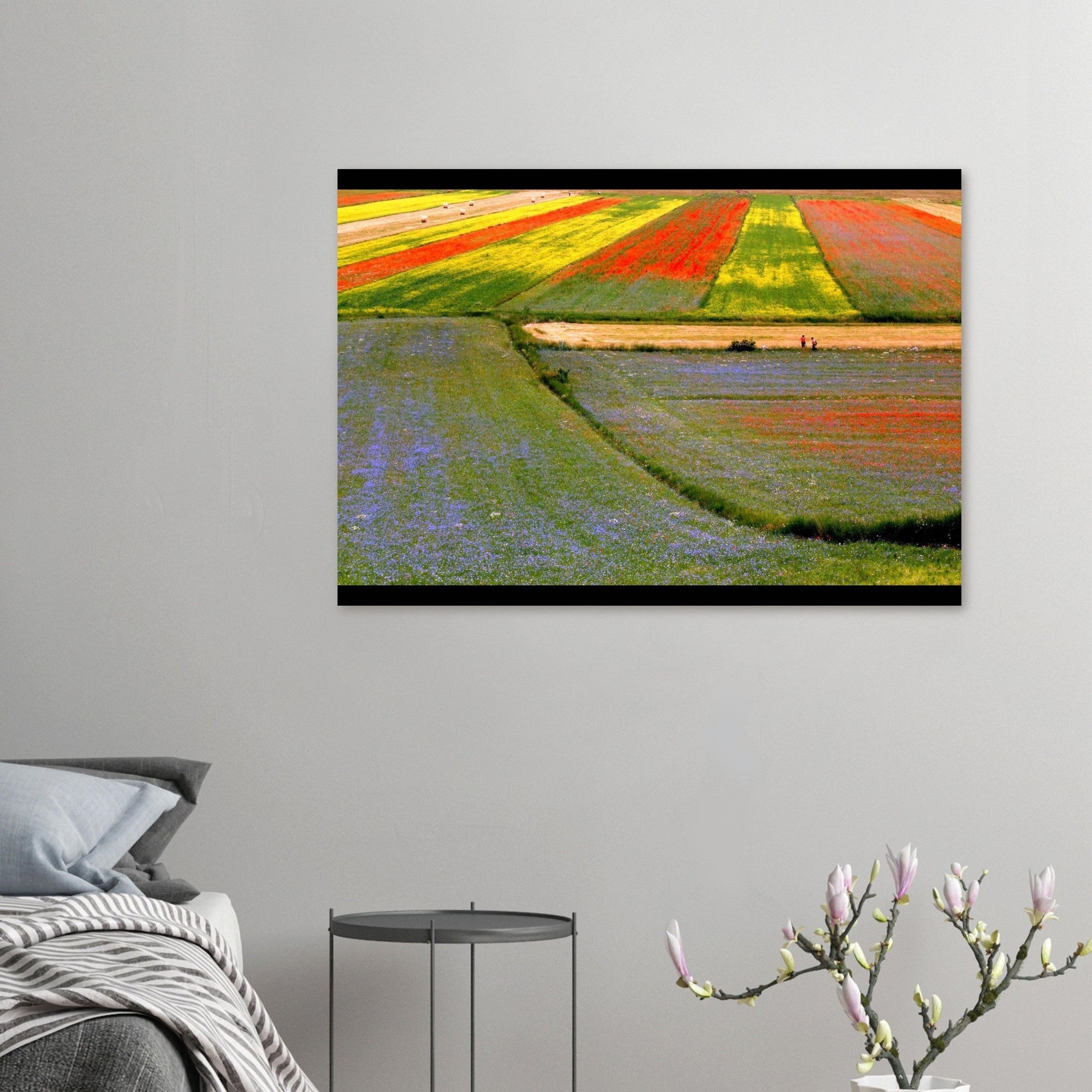 I colori delle vie - Micol Art Gallery
