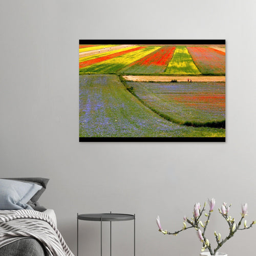 I colori delle vie - Micol Art Gallery