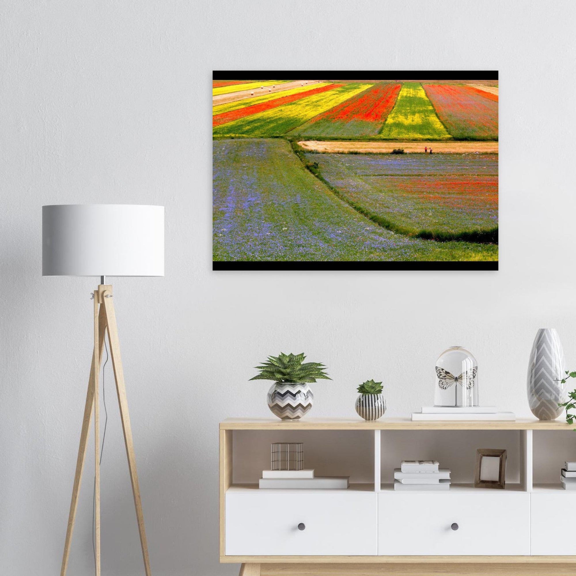 I colori delle vie - Micol Art Gallery