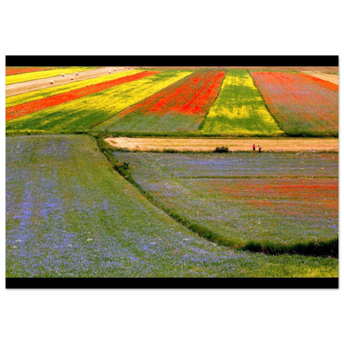 I colori delle vie - Micol Art Gallery
