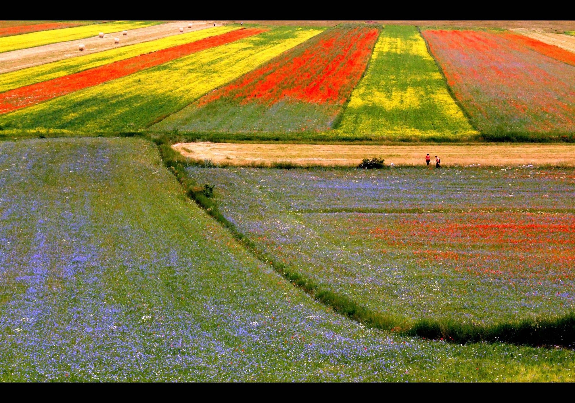 I colori delle vie - Micol Art Gallery